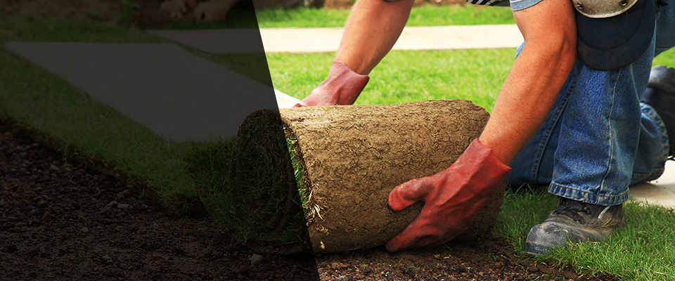 Rapid City Landscapers